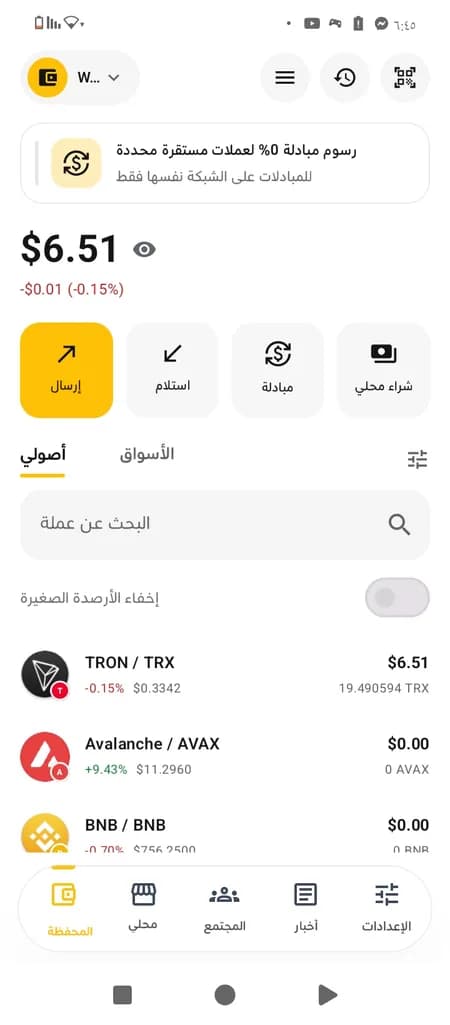 شاشة محفظة Taccoin — الرصيد والأصول